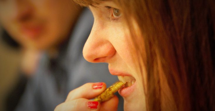 dare dinner geroosterde krekel eten