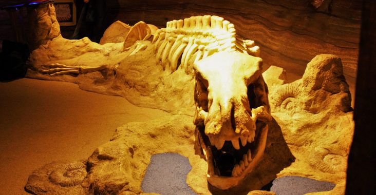 mini golf de mijn saraland