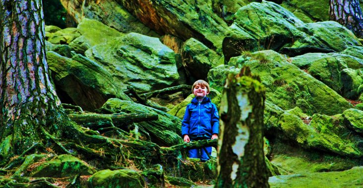 TEUTOBURGERWOUD DUITSLAND ORIGINELE WANDELING WANDELIN MET KINDEREN KLIMPARCOURS