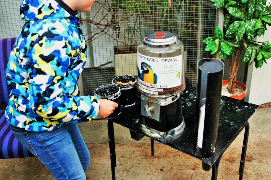 nally's papegaaienopvang parkiet kaketoe papegaaienasiel wegmet kinderen uitstapjes met kids wattedoen originele uistapjes met dieren dierenuitstapjes (2)